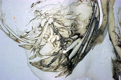 Stain under Dodie's freezer 2